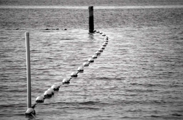 Componenta lotului olimpic de inot 2011