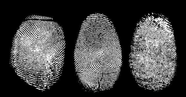 Ploiesti: 43 de persoane deferite justitiei pentru inselaciune bancara si fals