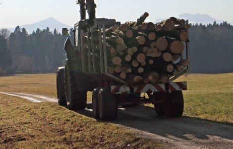 Inca 4.000 de metri cubi de lemn confiscat in Gorj