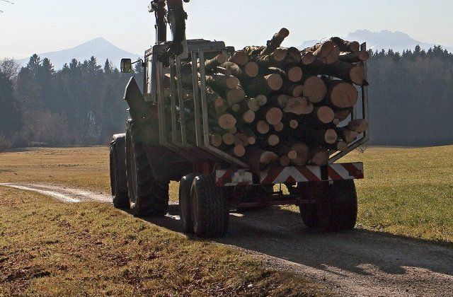 Inca 4.000 de metri cubi de lemn confiscat in Gorj