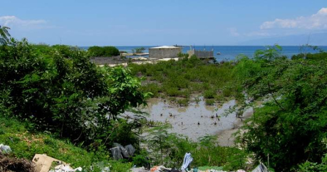 Holera a facut peste 200 de victime in Haiti