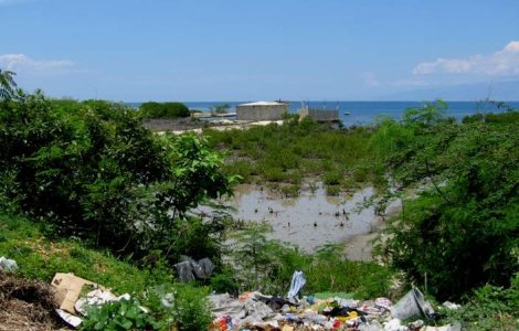 Holera a facut peste 200 de victime in Haiti