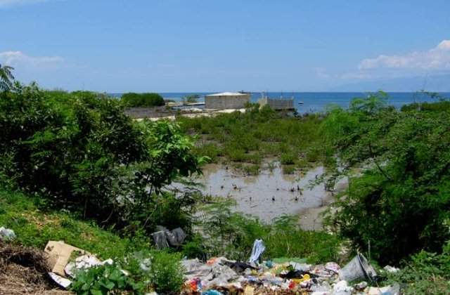 Holera a facut peste 200 de victime in Haiti