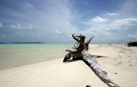 Avertizarea de tsunami a fost ridicata in Indonezia