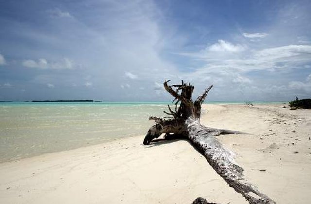 Avertizarea de tsunami a fost ridicata in Indonezia