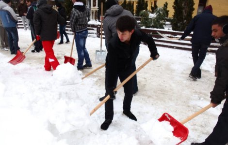 Asistatii sociali chemati la deszapezire s-au imbolnavit subit