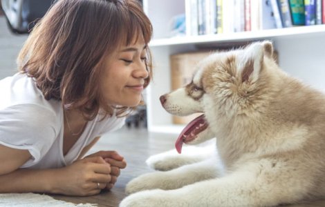 Top 5 metode eficiente pentru a prelungi viata cainelui tau