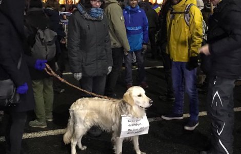 Cum a aratat a XII-a zi de proteste
