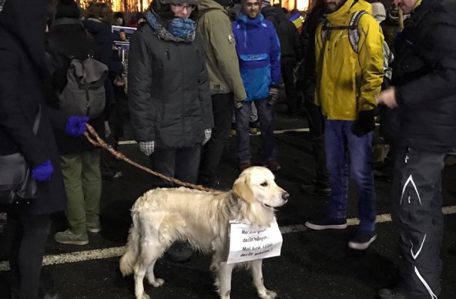 Aproximativ 3.000 de persoane in Piata Victoriei, in cea de a douasprezecea zi de proteste. La Palatul Cotroceni, peste 400 de oameni au cerut demisia presedintelui