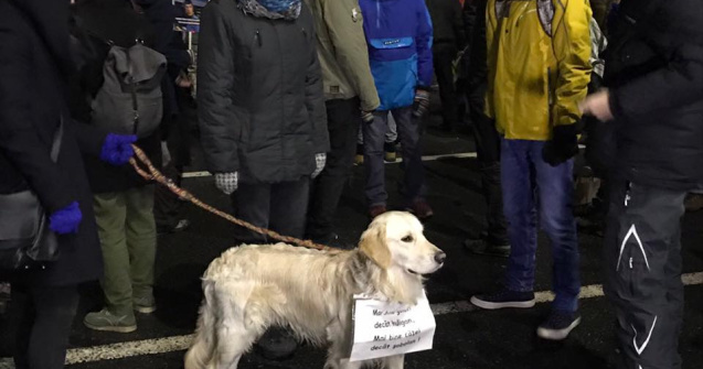 Cum a aratat a XII-a zi de proteste