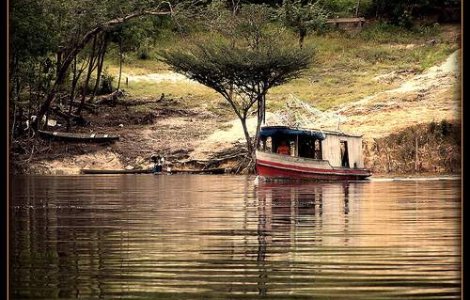Amazonia: O noua specie, descoperita la fiecare 3 zile