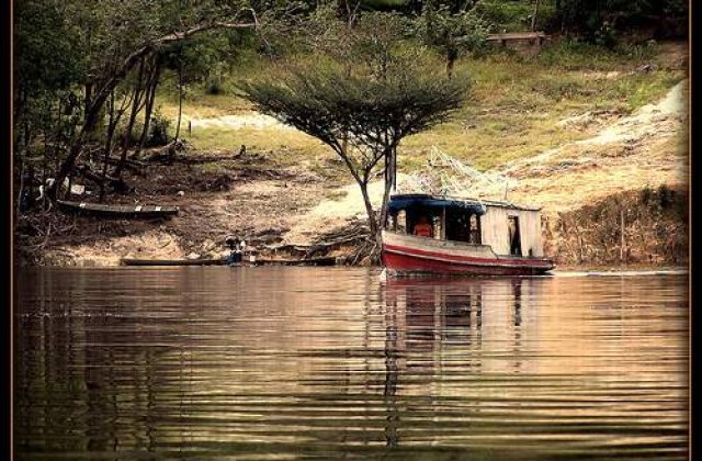 Amazonia: O noua specie, descoperita la fiecare 3 zile
