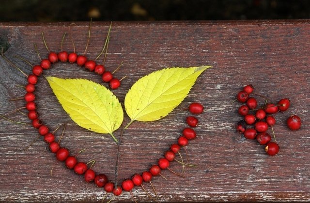 Top 10 aranjamente interesante in spiritul sarbatorilor care marcheaza luna iubirii