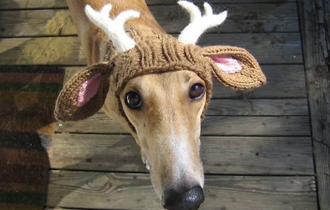  Top  Idei de cadouri calduroase pentru cei dragi