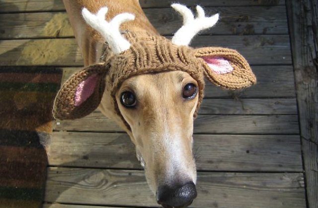 Idei de cadouri calduroase pentru cei dragi