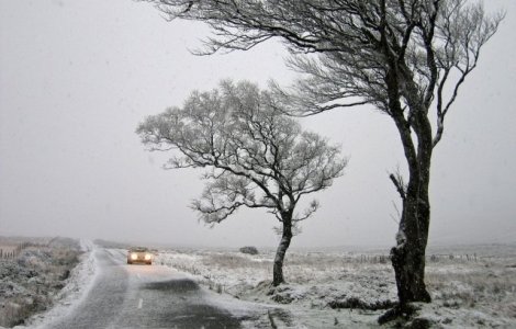 Cod GALBEN de vant puternic in mai multe judete