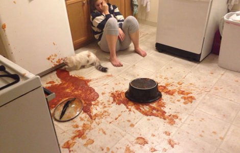  Top  Dezastru in bucatarie! 10 imagini care te vor face sa razi cu lacrimi