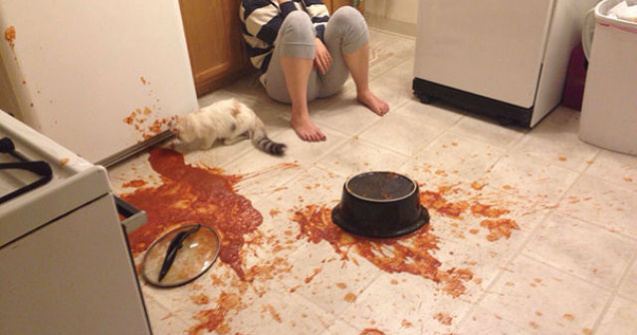  Top  Dezastru in bucatarie! 10 imagini care te vor face sa razi cu lacrimi