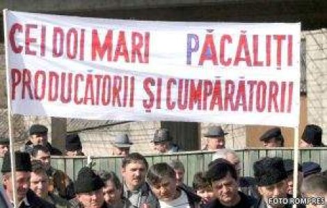 Sute de fermieri au luat cu asalt prefecturile din mai multe judete