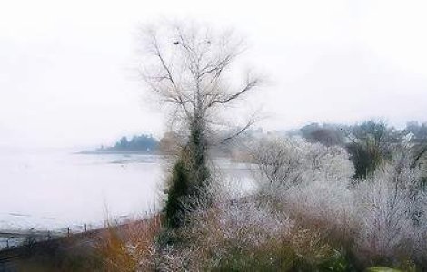 Iarna isi intra in drepturi