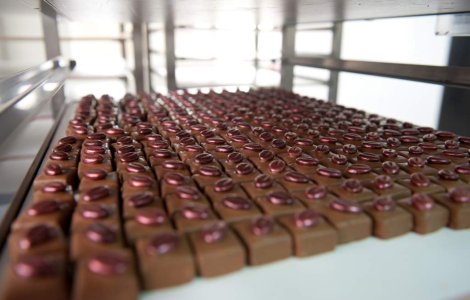  Video  Ciocolata cu gust de... muzica