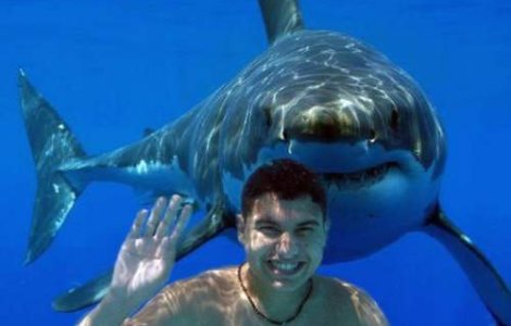 Australia: Salvata din gura unui rechin, de un barbat care a prins animalul de coada