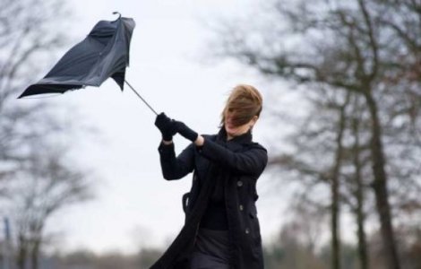 Cod galben de vant puternic in mai multe judete