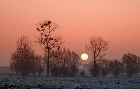 Vremea se va incalzi treptat pana vineri