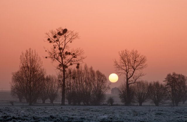 Vremea se va incalzi treptat pana vineri