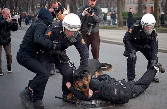 Irak: 185 de morti intr-o luna, in urma atacurilor