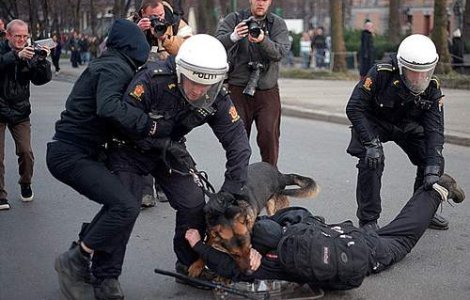 Irak: 185 de morti intr-o luna, in urma atacurilor