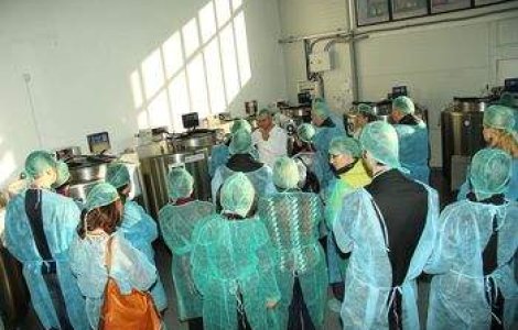 Cum arata o banca de celule stem?