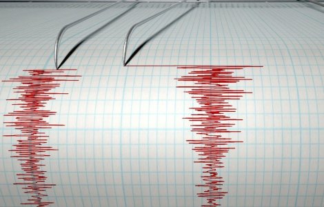 Doua cutremure au avut loc sambata dimineata, in judetul Buzau