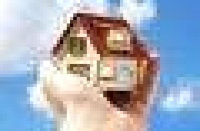 Optiuni extremiste pe piata imobiliara 