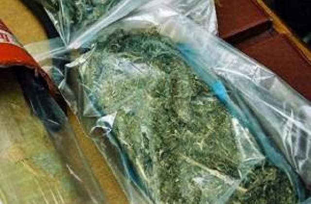 Marijuana, medicament-minune impotriva bacteriilor