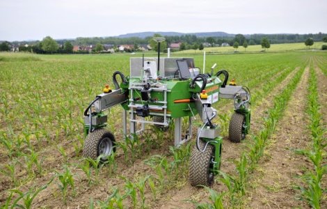 Britanicii ar vrea sa inlocuiasca muncitorii est-europeni cu roboti