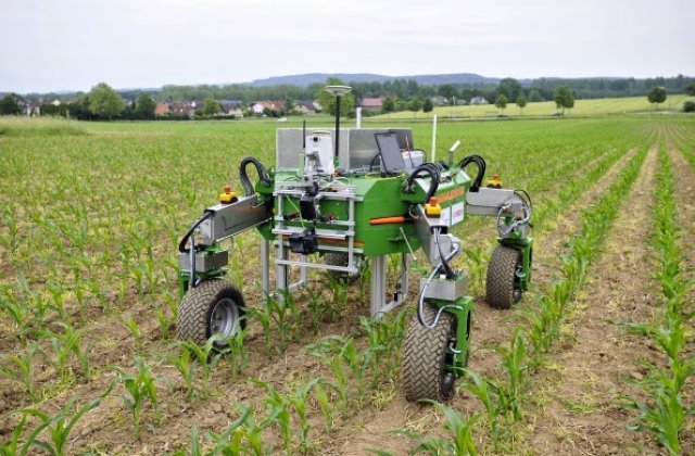 Britanicii se gandesc sa-i inlocuiasca pe muncitorii est-europeni cu roboti, dupa Brexit