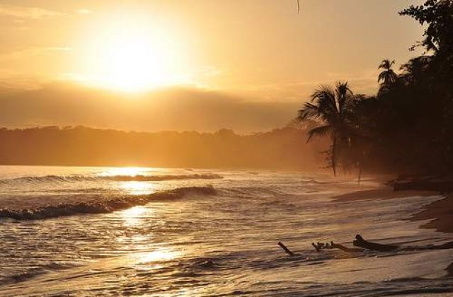 Costa Rica: Zeci de morti in urma unei alunecari de teren