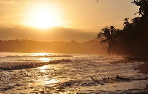 Costa Rica: Zeci de morti in urma unei alunecari de teren