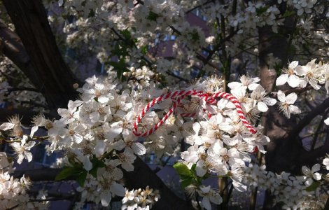 Mesajele politicienilor cu ocazia zilei de 1 Martie