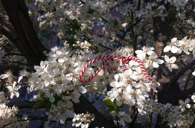 Mesajele politicienilor cu ocazia zilei de 1 Martie