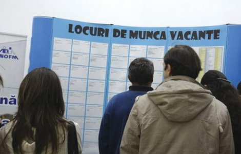 Somajul, in scadere usoara fata de aceeasi perioada a anului trecut