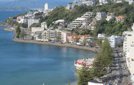 Angajatorii din Noua Zeelanda platesc specialistilor IT din intreaga lume o vacanta, pentru a participa la interviurile de recrutare