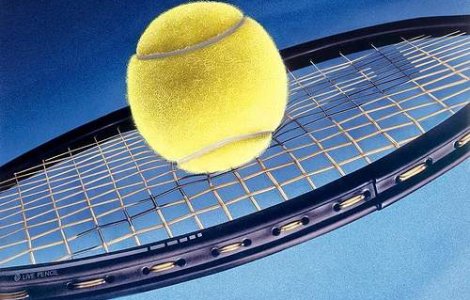 Tecau, in proba de dublu la turneul de la Paris