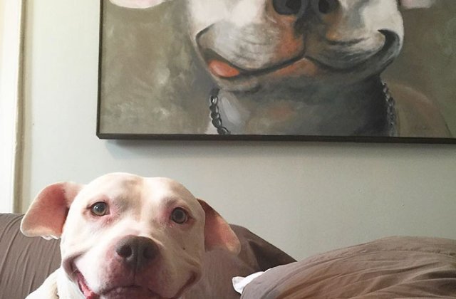 Reale sau trucate? Top 10 imagini care iti vor pune mintea la incercare