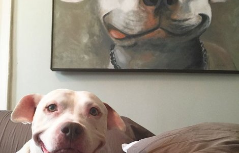  Top  Reale sau trucate? Top 10 imagini care iti vor pune mintea la incercare