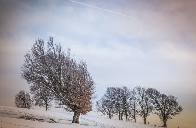 [Update] Cod GALBEN  de vant. Ce judete sunt vizate