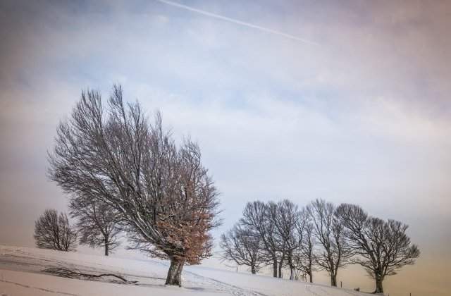[Update] Cod GALBEN  de vant. Ce judete sunt vizate