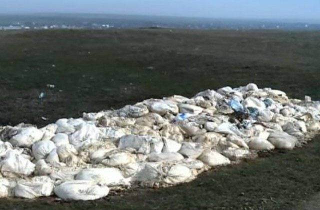 Poluare cu branza la Sacele