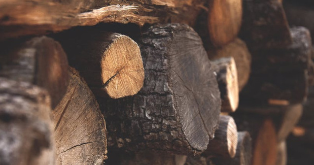 Legea contraventiilor silvice trebuie sa ramana eficienta in combaterea taierilor ilegale